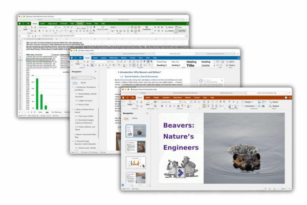 collabora office #1.png